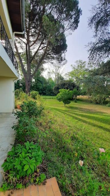 La Maison De Lili Colayrac-Saint-Cirq ภายนอก รูปภาพ