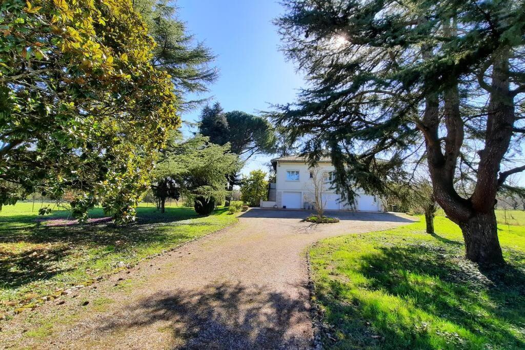 La Maison De Lili Colayrac-Saint-Cirq ภายนอก รูปภาพ