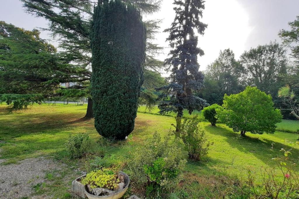 La Maison De Lili Colayrac-Saint-Cirq ภายนอก รูปภาพ