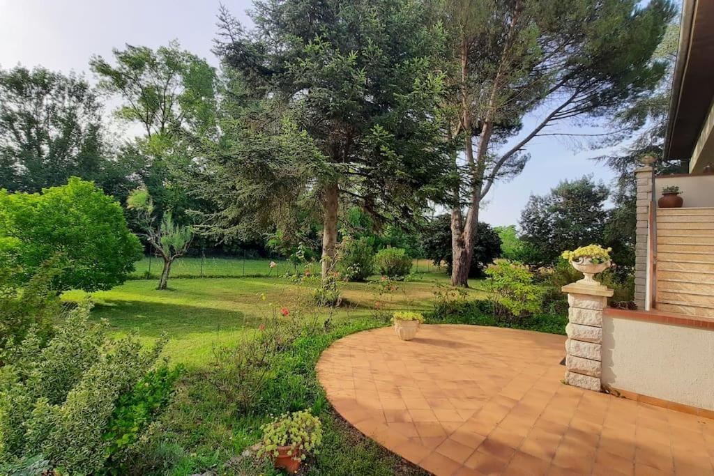 La Maison De Lili Colayrac-Saint-Cirq ภายนอก รูปภาพ