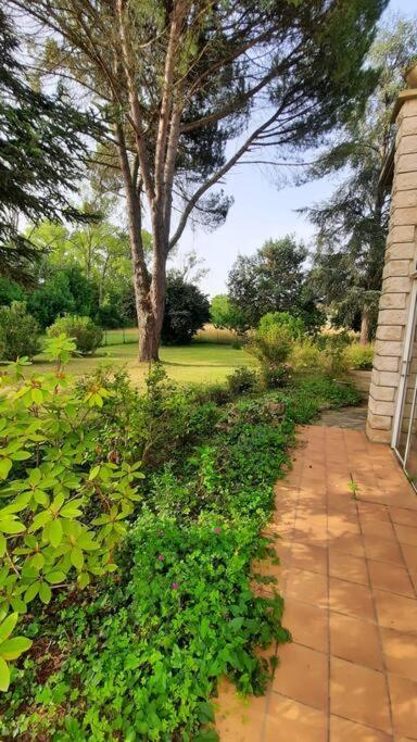 La Maison De Lili Colayrac-Saint-Cirq ภายนอก รูปภาพ