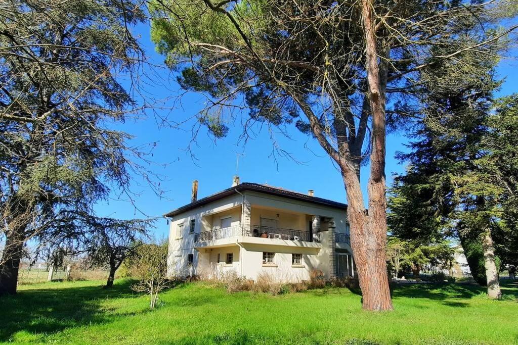 La Maison De Lili Colayrac-Saint-Cirq ภายนอก รูปภาพ