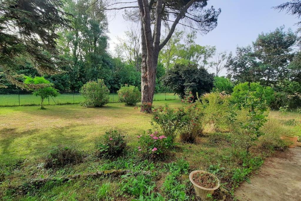 La Maison De Lili Colayrac-Saint-Cirq ภายนอก รูปภาพ