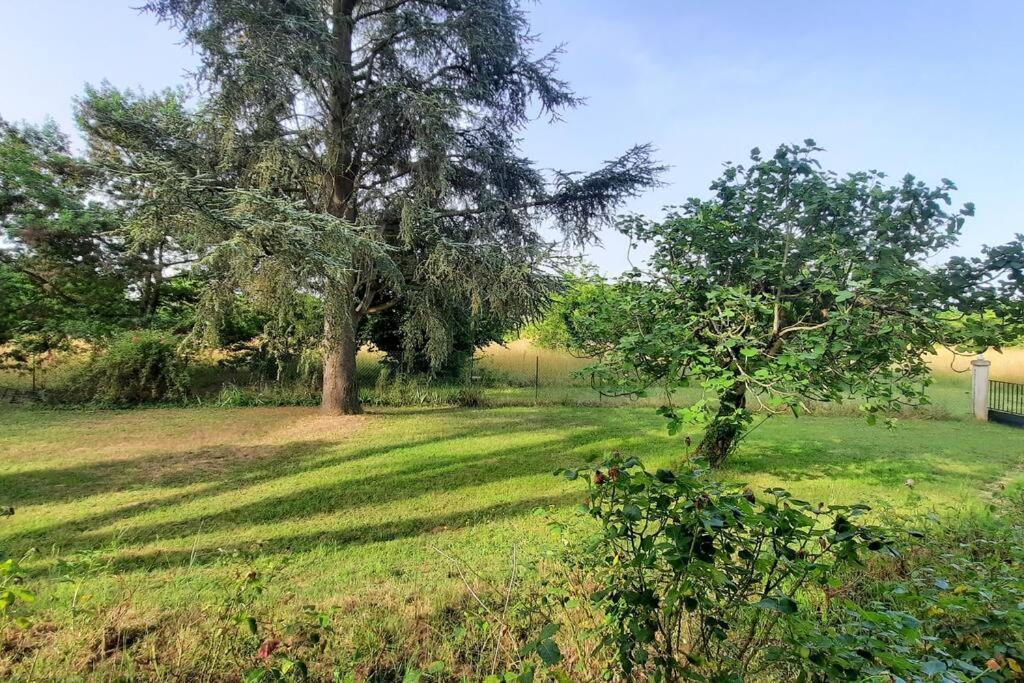 La Maison De Lili Colayrac-Saint-Cirq ภายนอก รูปภาพ