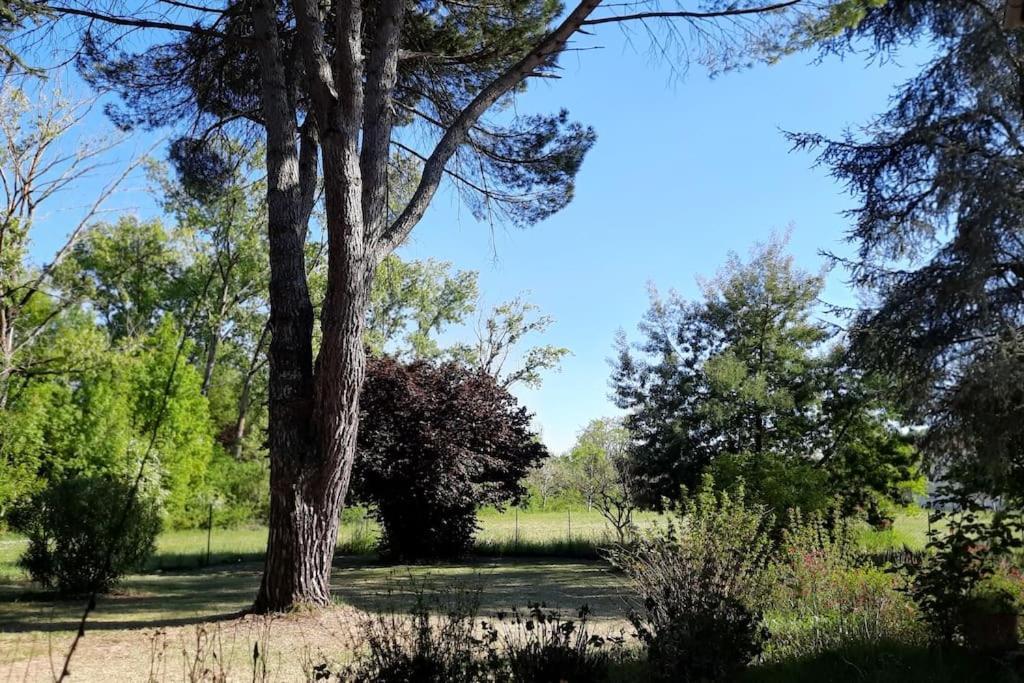 La Maison De Lili Colayrac-Saint-Cirq ภายนอก รูปภาพ